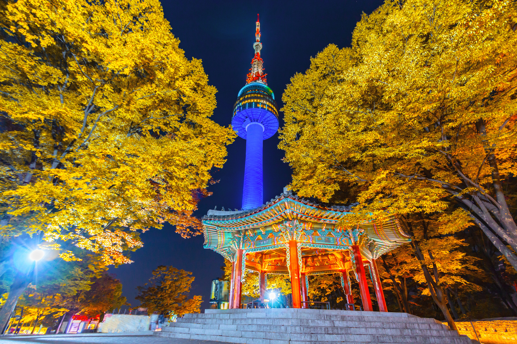 Fall color change in Seoul and N seoul tower  in autumn at night, Seoul city, South Korea